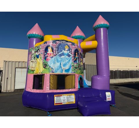Backyard Dazzling Princess (sku C327-princess-banners)
