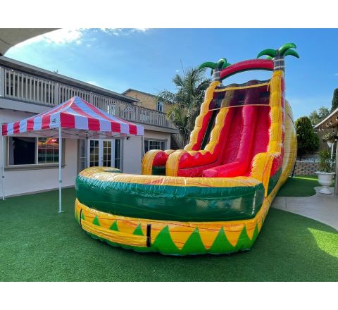 Dual Lane Tropical Fiesta breeze (SKU W462)