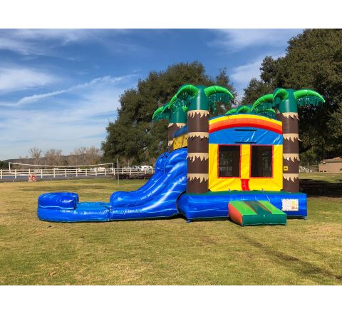 Dual Lane Tropical Fun Water Slide Combo Jumper Rental in San Diego