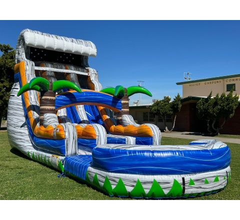 Dual lane monster wave water slide (sku W453)